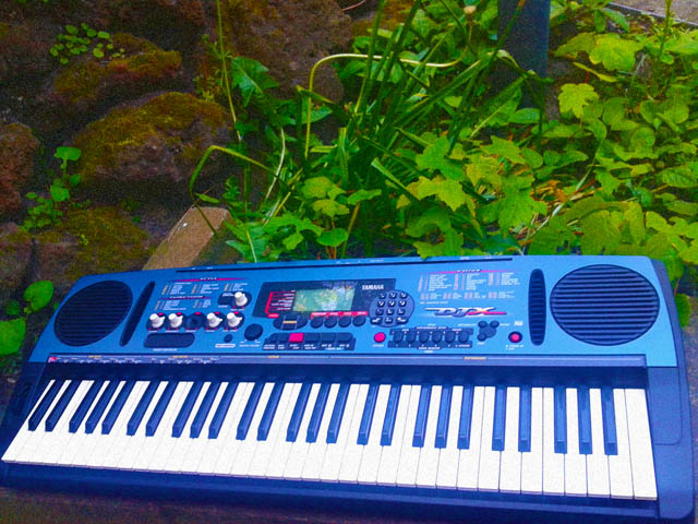 djx2.jpg